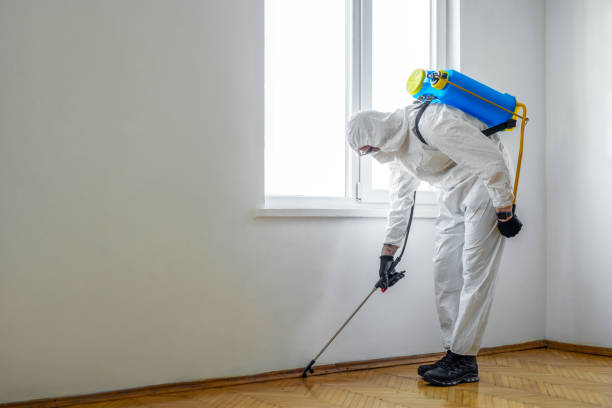 Best Residential Pest Control  in Grand Blanc, MI